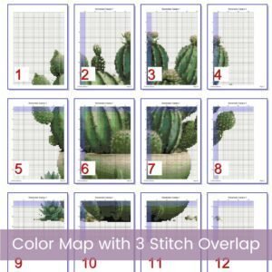 Cactus Cross Stitch Pattern