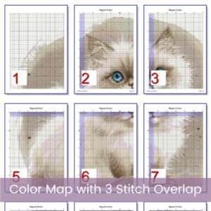 Ragdoll Kitten Cross Stitch Pattern
