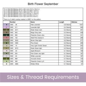 September Birth Month Flower Counted Cross Stitch Pattern, Aster Cross Stitch Pattern, Instant Download, Modern Floral Cross Stitch Gift