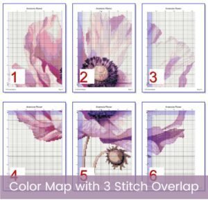 Anemone Flower Cross Stitch Pattern