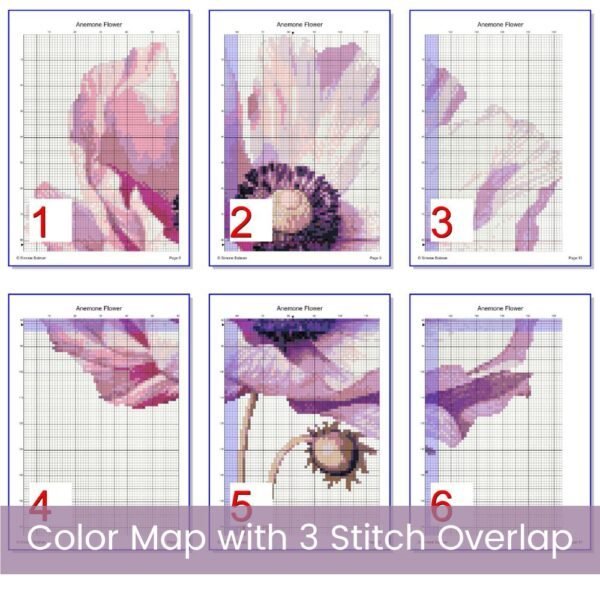 Anemone Flower Cross Stitch Pattern