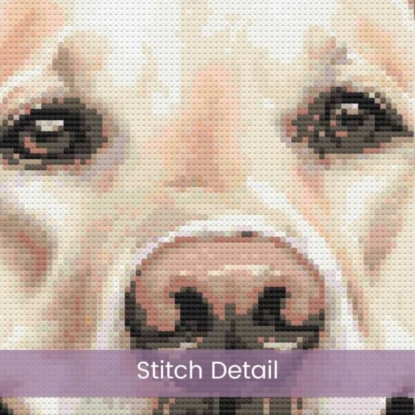 Golden Labrador Cross Stitch Pattern