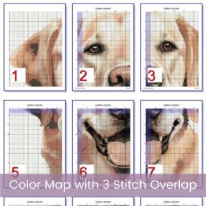 Golden Labrador Cross Stitch Pattern