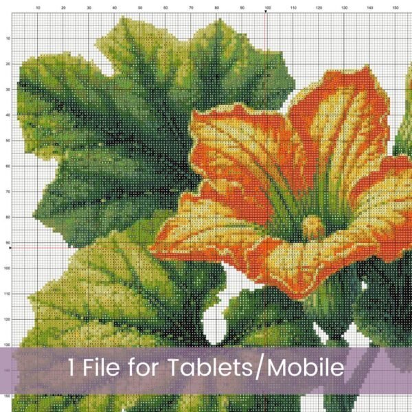 Squash Flower Cross Stitch Pattern, Beautiful Floral Embroidery, Zucchini Pattern, PDF Instant Digital Download, All File Formats Included