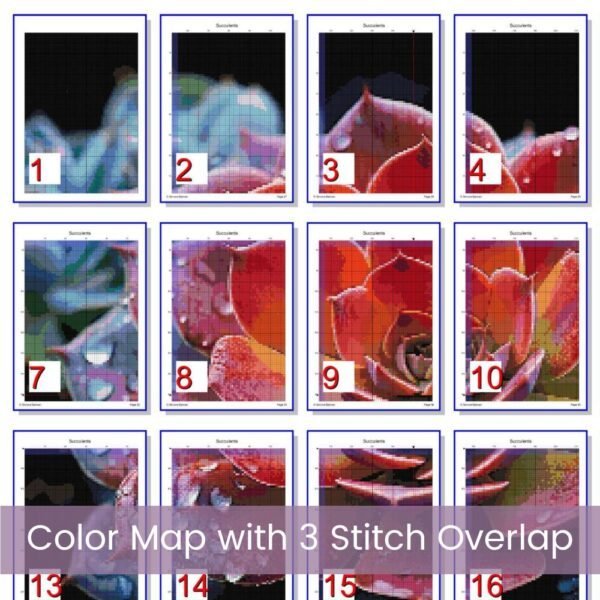 Succulents Cross Stitch Pattern, Cactus Plant Botanical Stitch PDF Instant Download, Full Coverage Digital Pattern, Pattern Keeper file incl