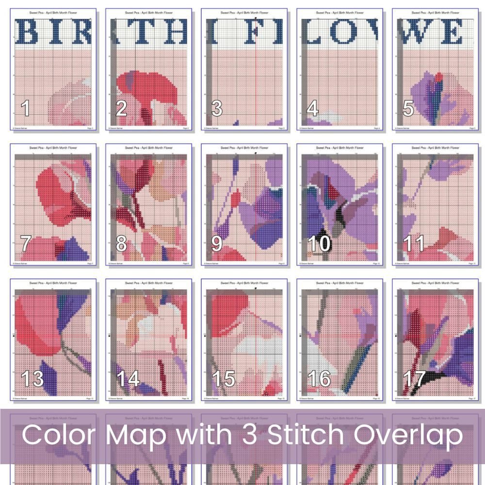 April Birth Month Flower Counted Cross Stitch PDF Pattern, Sweet Pea Cross Stitch Pattern, Instant Download, Modern Floral Cross Stitch