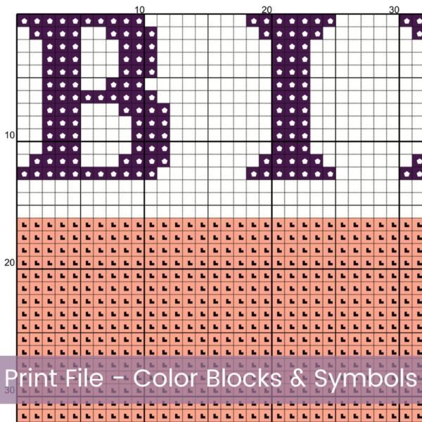February Birth Flower Cross Stitch Pattern Book – Violets in Modern Flower Market Style