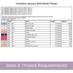 January Birth Flower Carnation Cross Stitch Pattern | Minimalist Boho “Flower Market” Style | Full Coverage PDF