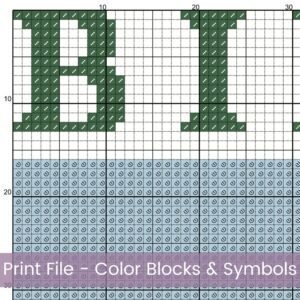 January Birth Flower Snowdrop Cross Stitch Pattern | Minimalist Boho “Flower Market” Style | Full Coverage PDF