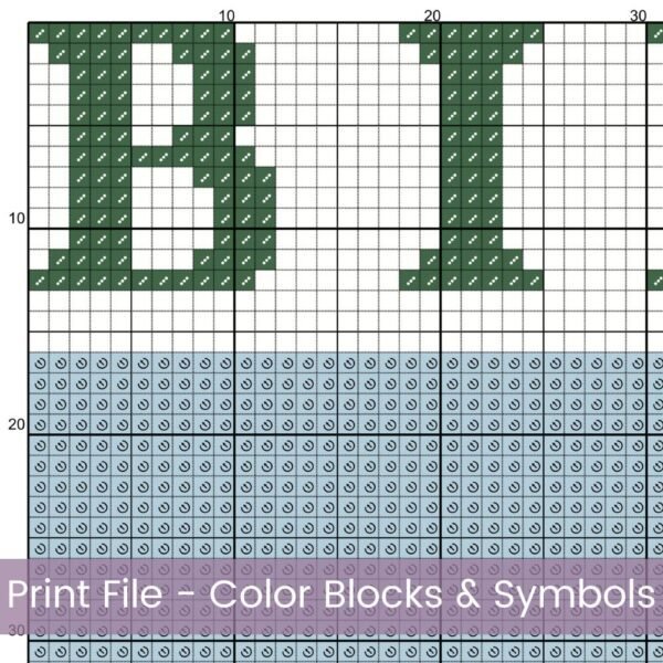 January Birth Flower Snowdrop Cross Stitch Pattern | Minimalist Boho “Flower Market” Style | Full Coverage PDF