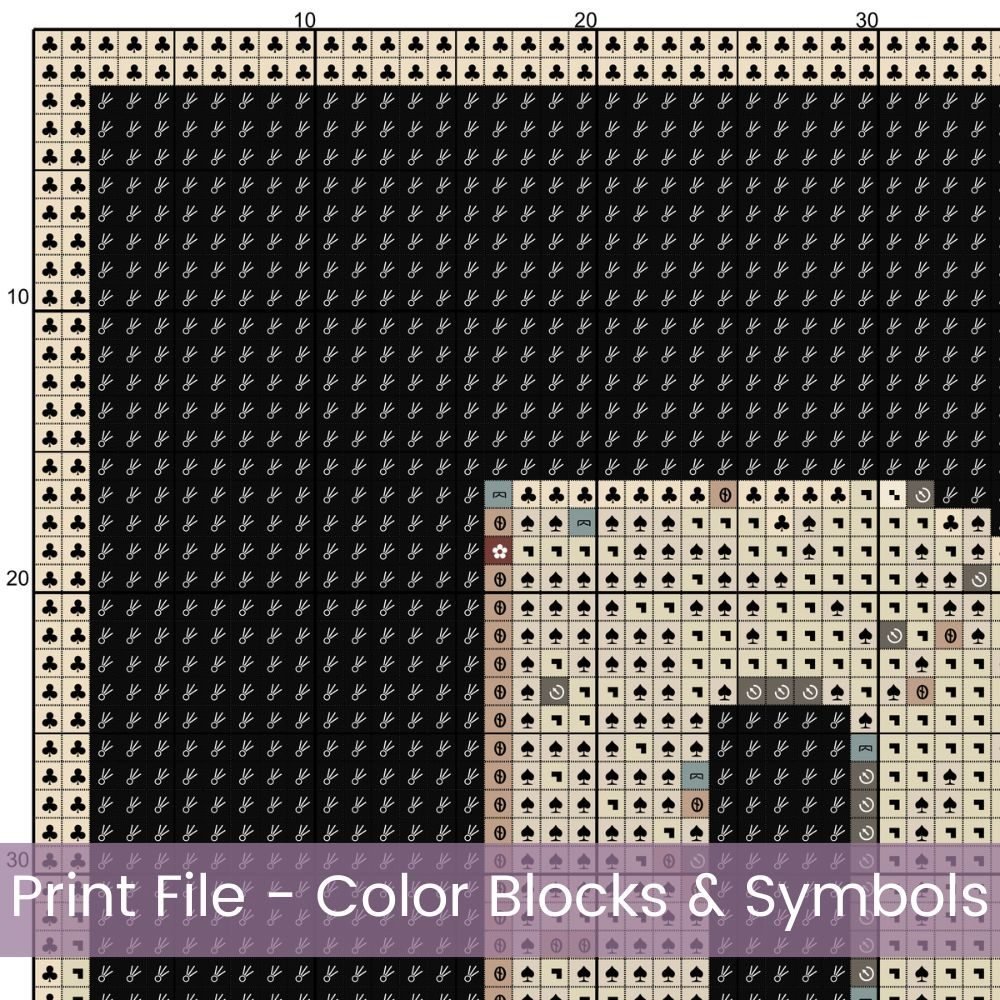 🛸 Celebrate the mystery and magic of the Southwest with this Retro Travel Poster Cross Stitch Pattern Book for Roswell, New Mexico 👽