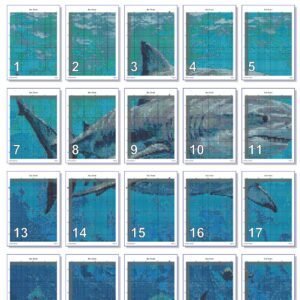 Bull Shark Cross Stitch Pattern, Full Coverage Marine Oil-Painting Style PDF, Multi-Brand Floss Conversions